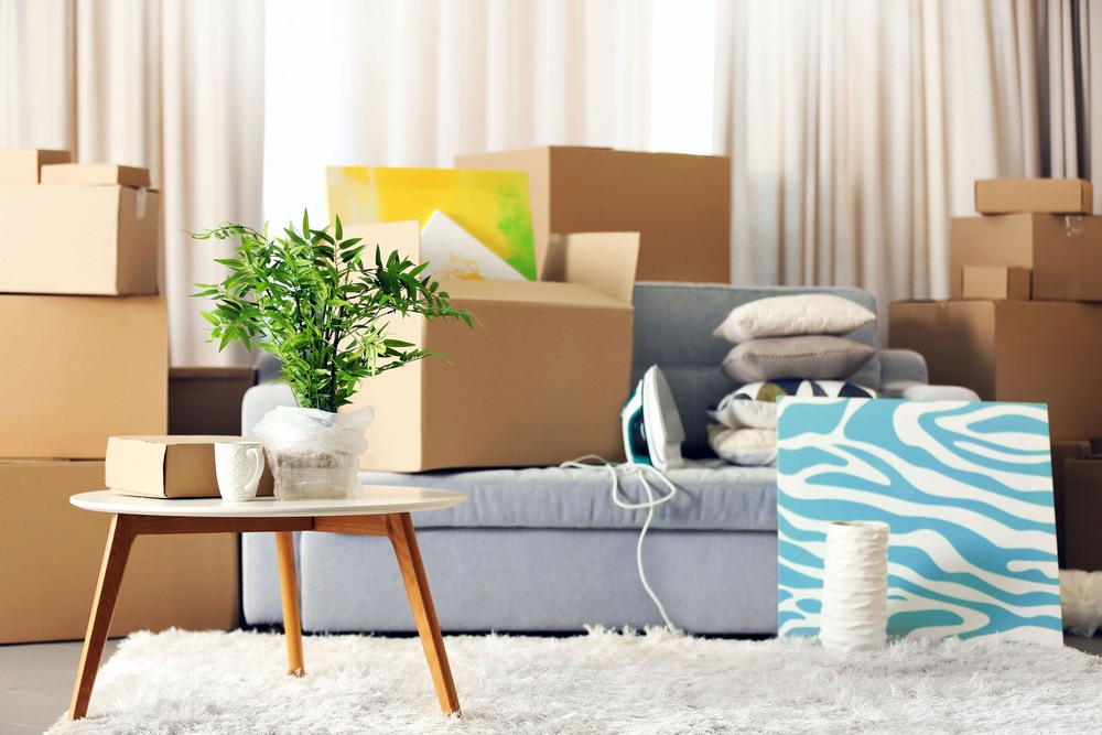 boxes of junk sitting in a home ready for pickup